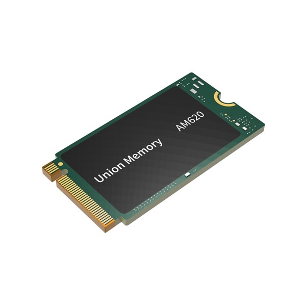 UNION 256GB 2242 AM620 2100- 1200MB/s M2 PCIe NVMe Gen3 Disk Kutusuz